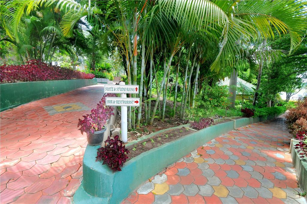Coorg Jungle Camp Resort Suntikoppa Luaran gambar